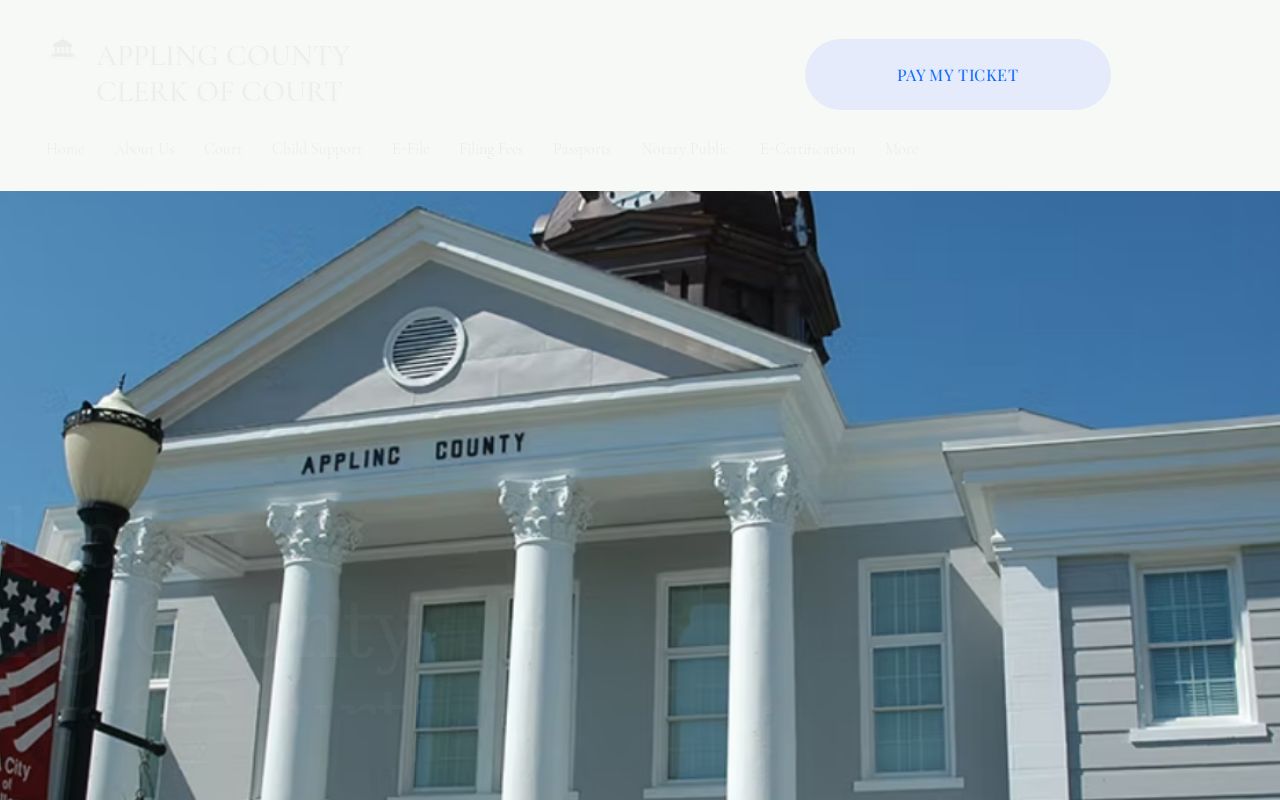 Appling County criminal court cases clerk homepage